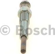 BOSCH 0 250 202 008 - İşıqlandırma şamı www.furqanavto.az