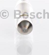 BOSCH 1 987 301 060 - Lampa, nömrə nişanı işığı furqanavto.az