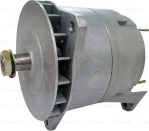 BOSCH F 042 301 169 - Alternator furqanavto.az