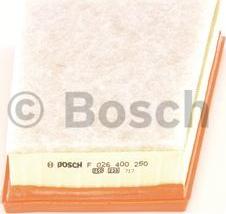 BOSCH F 026 400 250 - Hava filtri furqanavto.az