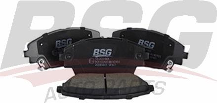 BSG BSG 55-202-001 - Əyləc altlığı dəsti, əyləc diski furqanavto.az