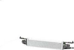 BSG BSG65535003 - Intercooler, şarj cihazı furqanavto.az