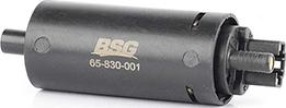 BSG BSG 65-830-001 - Yanacaq nasosu furqanavto.az