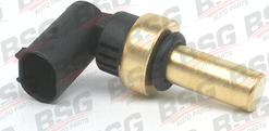 BSG BSG 60-840-012 - Sensor, soyuducu suyun temperaturu furqanavto.az