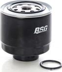 BSG BSG 62-130-003 - Yanacaq filtri furqanavto.az