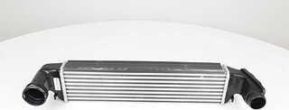 BSG BSG15535004 - Intercooler, şarj cihazı furqanavto.az