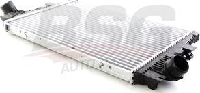 BSG BSG 10-535-002 - Intercooler, şarj cihazı furqanavto.az