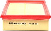 BSG BSG 30-135-004 - Hava filtri furqanavto.az