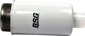 BSG BSG 30-130-010 - Yanacaq filtri furqanavto.az