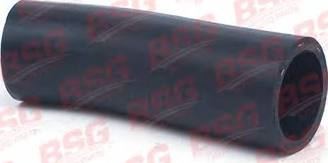 BSG BSG 30-720-077 - Radiator şlanqı furqanavto.az