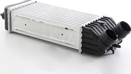 BSG BSG 70-535-010 - Intercooler, şarj cihazı furqanavto.az