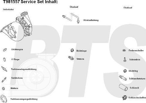 BTS Turbo T981557 - Şarj cihazı, doldurma sistemi furqanavto.az