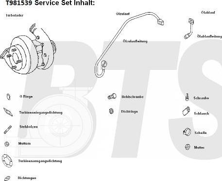 BTS Turbo T981539 - Şarj cihazı, doldurma sistemi furqanavto.az