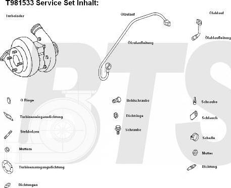BTS Turbo T981533 - Şarj cihazı, doldurma sistemi furqanavto.az