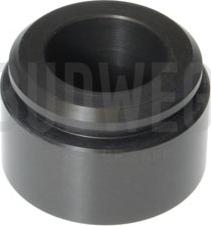 Budweg Caliper 234418 - Piston, əyləc kaliperi furqanavto.az