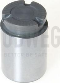 Budweg Caliper 233429 - Piston, əyləc kaliperi furqanavto.az