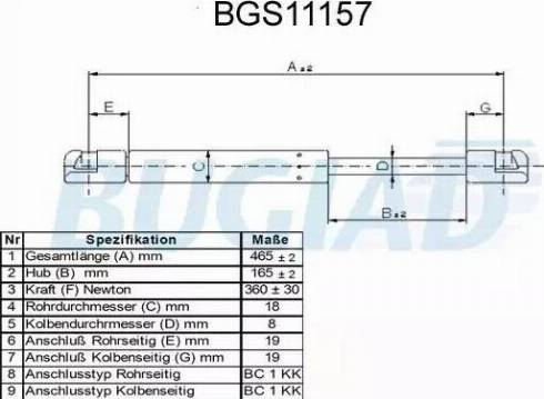 Bugiad BGS11157 - Qazlı bulaq, baqaj, yük yeri furqanavto.az