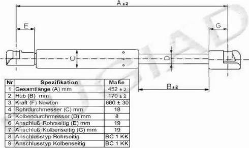 Bugiad BGS11161 - Qazlı bulaq, baqaj, yük yeri furqanavto.az