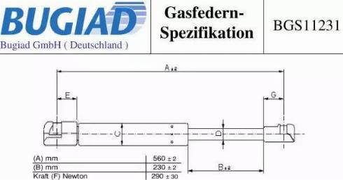 Bugiad BGS11231 - Qazlı bulaq, baqaj, yük yeri furqanavto.az