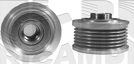 Caliber 87513 - Kasnak, alternator, sərbəst dönərli mufta furqanavto.az