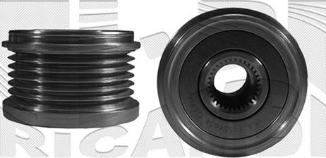 Caliber 87574 - Kasnak, alternator, sərbəst dönərli mufta furqanavto.az