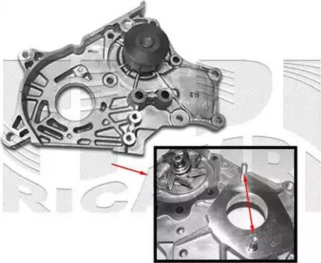 Caliber WPC300 - Su nasosu furqanavto.az