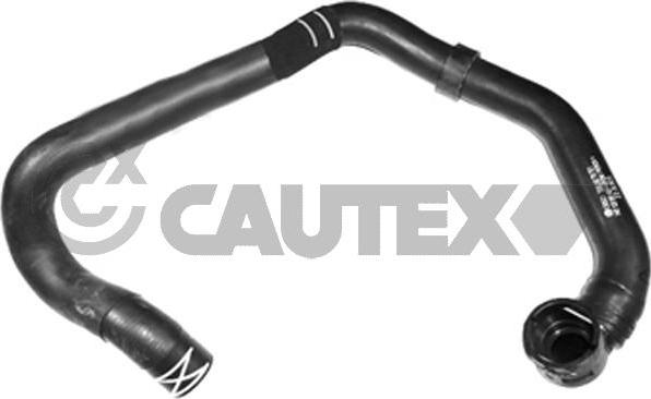 Cautex 466877 - Radiator şlanqı furqanavto.az