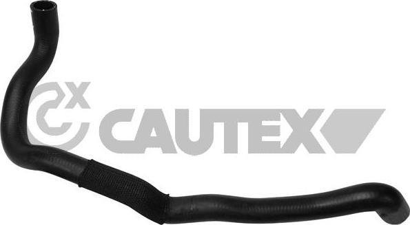 Cautex 754022 - Radiator şlanqı furqanavto.az