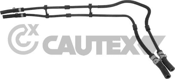 Cautex 754398 - Radiator şlanqı furqanavto.az