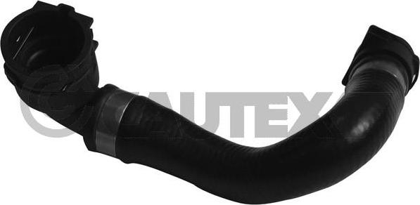 Cautex 753946 - Radiator şlanqı furqanavto.az