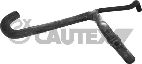 Cautex 753477 - Radiator şlanqı furqanavto.az