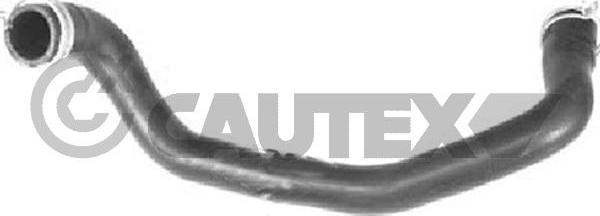 Cautex 753536 - Radiator şlanqı furqanavto.az