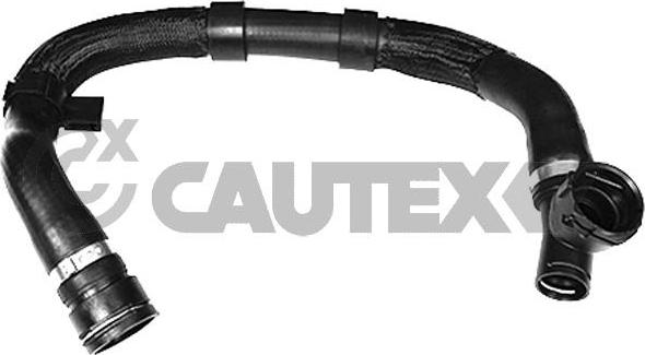 Cautex 753670 - Radiator şlanqı furqanavto.az