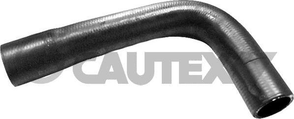 Cautex 769924 - Radiator şlanqı furqanavto.az