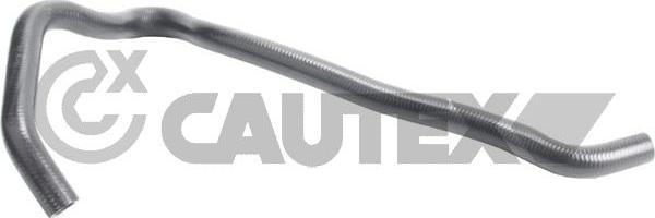 Cautex 765494 - Radiator şlanqı furqanavto.az