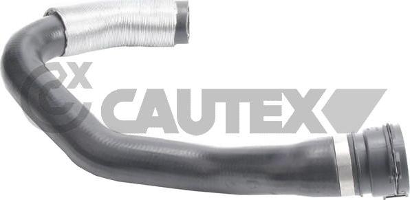 Cautex 765490 - Radiator şlanqı furqanavto.az