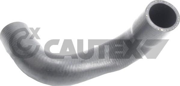 Cautex 765483 - Radiator şlanqı furqanavto.az