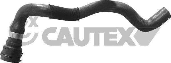 Cautex 765591 - Radiator şlanqı furqanavto.az