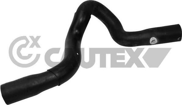 Cautex 765184 - Radiator şlanqı furqanavto.az