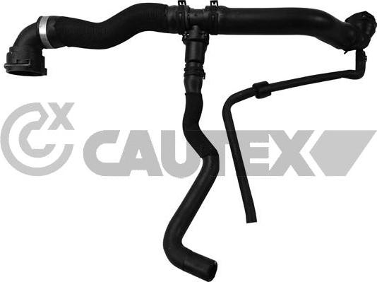 Cautex 765179 - Radiator şlanqı furqanavto.az