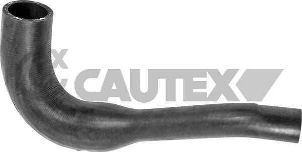 Cautex 760658 - Radiator şlanqı furqanavto.az