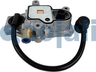 Cojali 2816012 - Solenoid klapan furqanavto.az