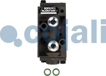 Cojali 2880282 - Multiport Valve furqanavto.az