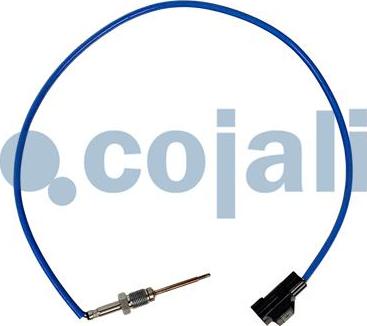 Cojali 2262068 - Sensor, işlənmiş qazın temperaturu furqanavto.az