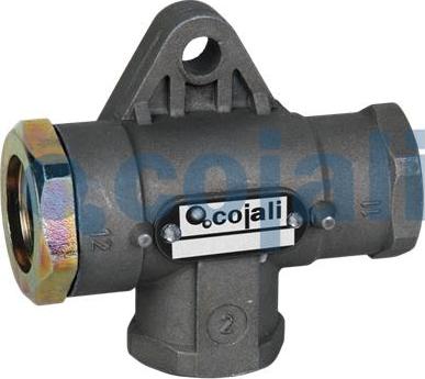 Cojali 2207103 - Multiport Valve furqanavto.az