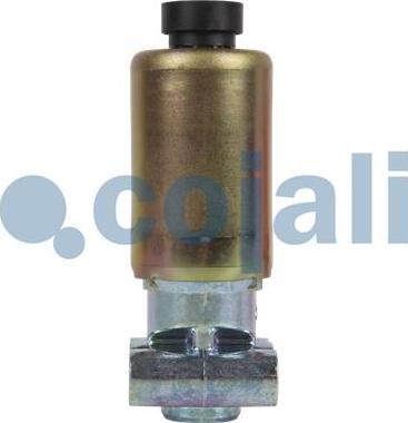 Cojali 2218215 - Solenoid klapan furqanavto.az