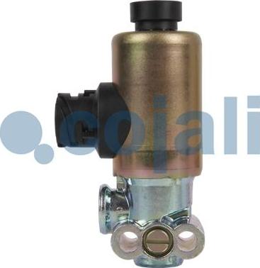 Cojali 2218215 - Solenoid klapan furqanavto.az