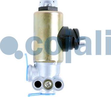 Cojali 2218223 - Solenoid klapan furqanavto.az