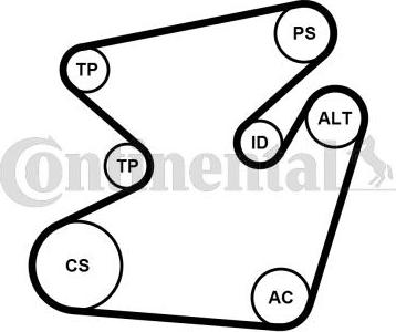 Contitech 6PK1950K1 - V-yivli kəmər dəsti furqanavto.az