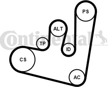 Contitech 6PK1660K1 - V-yivli kəmər dəsti furqanavto.az